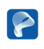 Phyber Logo