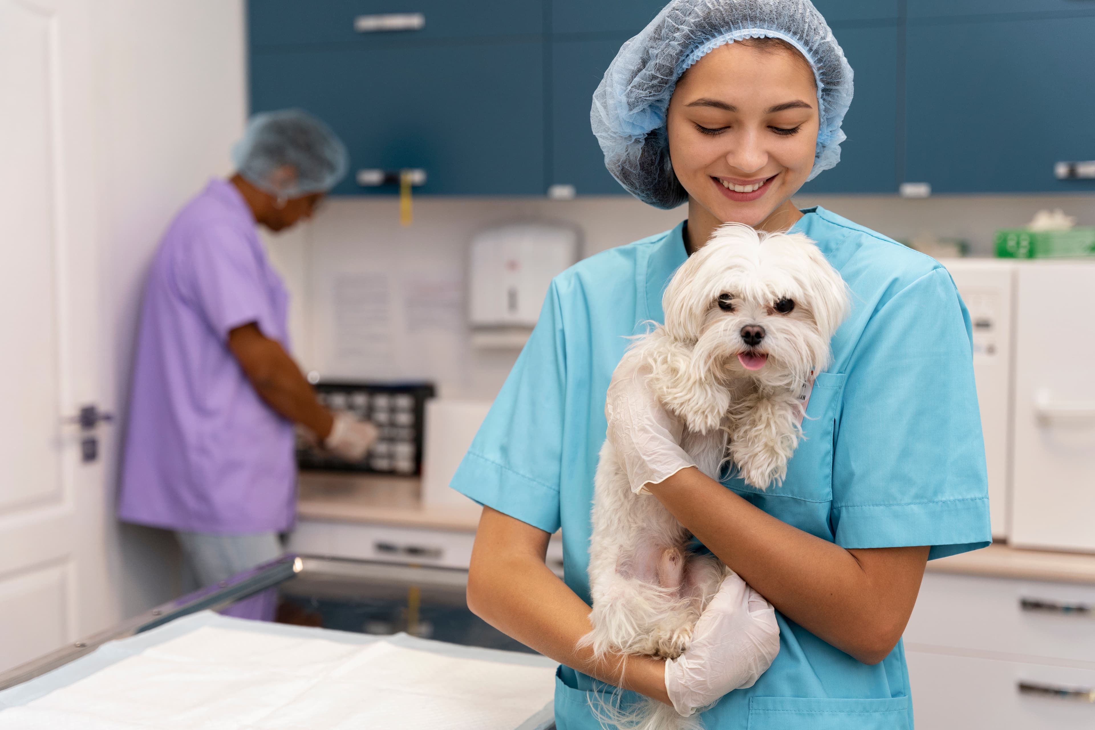 vet examining a dog at home